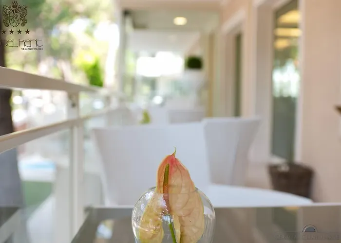 Hotel Kent Milano Marittima